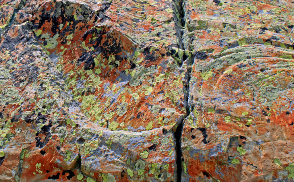Lichens sur rocher des Merveilles