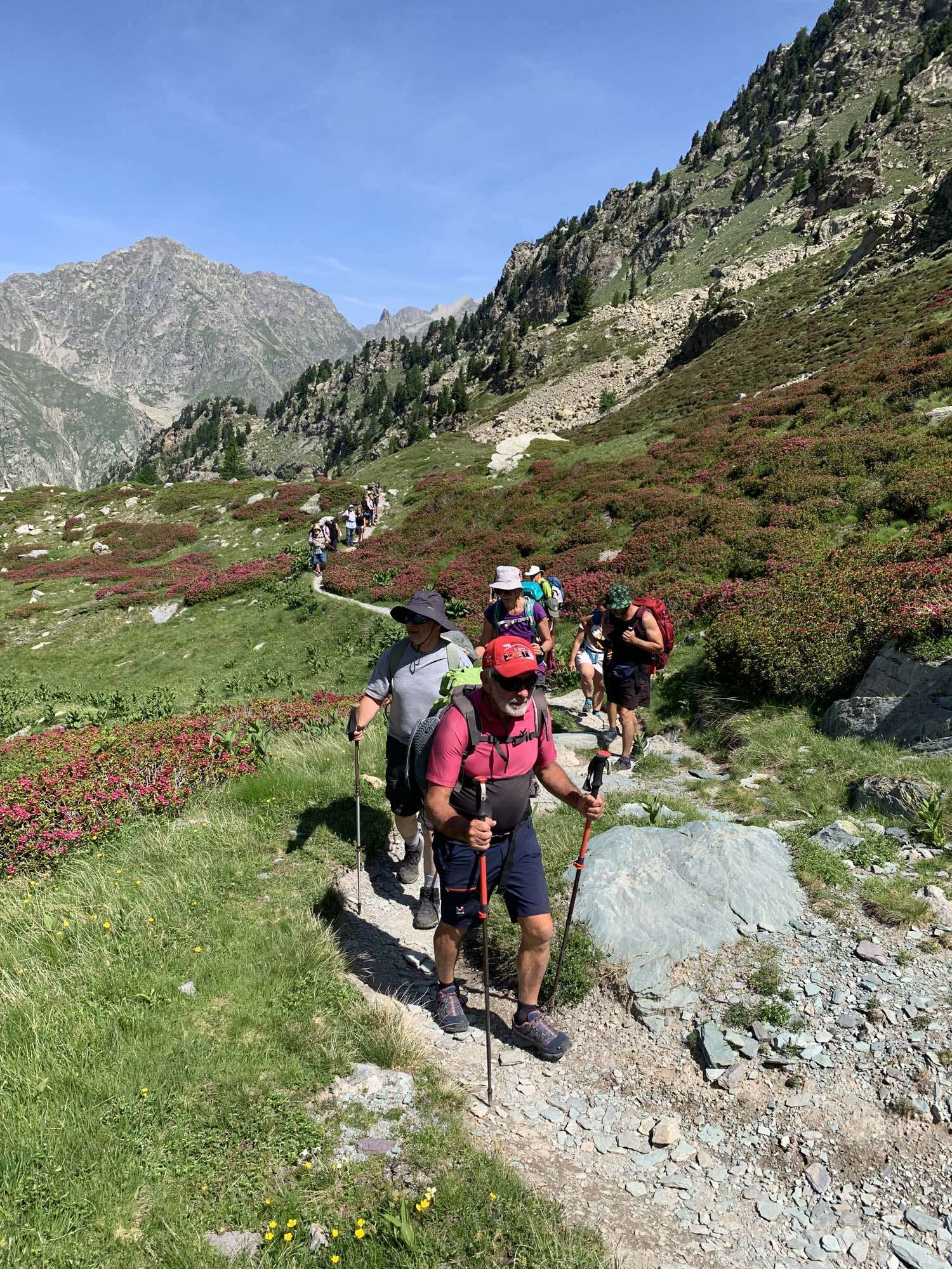Paysage du Mercantour