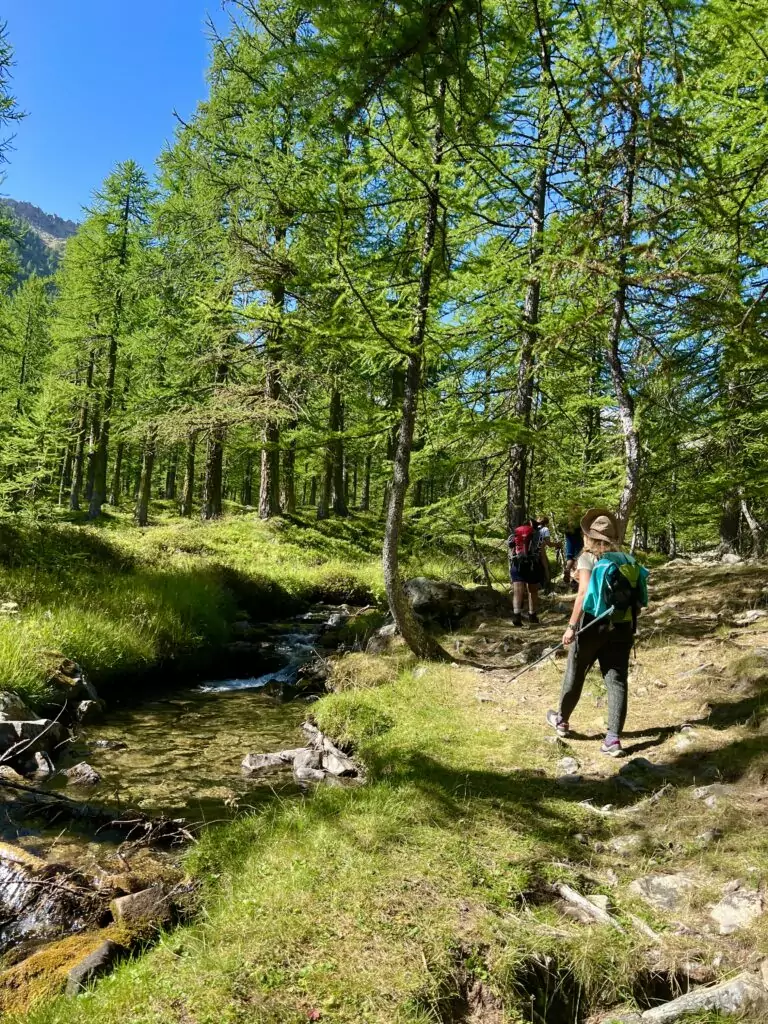 Paysage alpin entre Ubaye et Haut Var